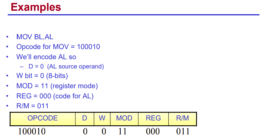 编程语言(Programming Language)、汇编语言(Assembly Language, ASM)、机器语言(Machine Language/Code)的区别和简介